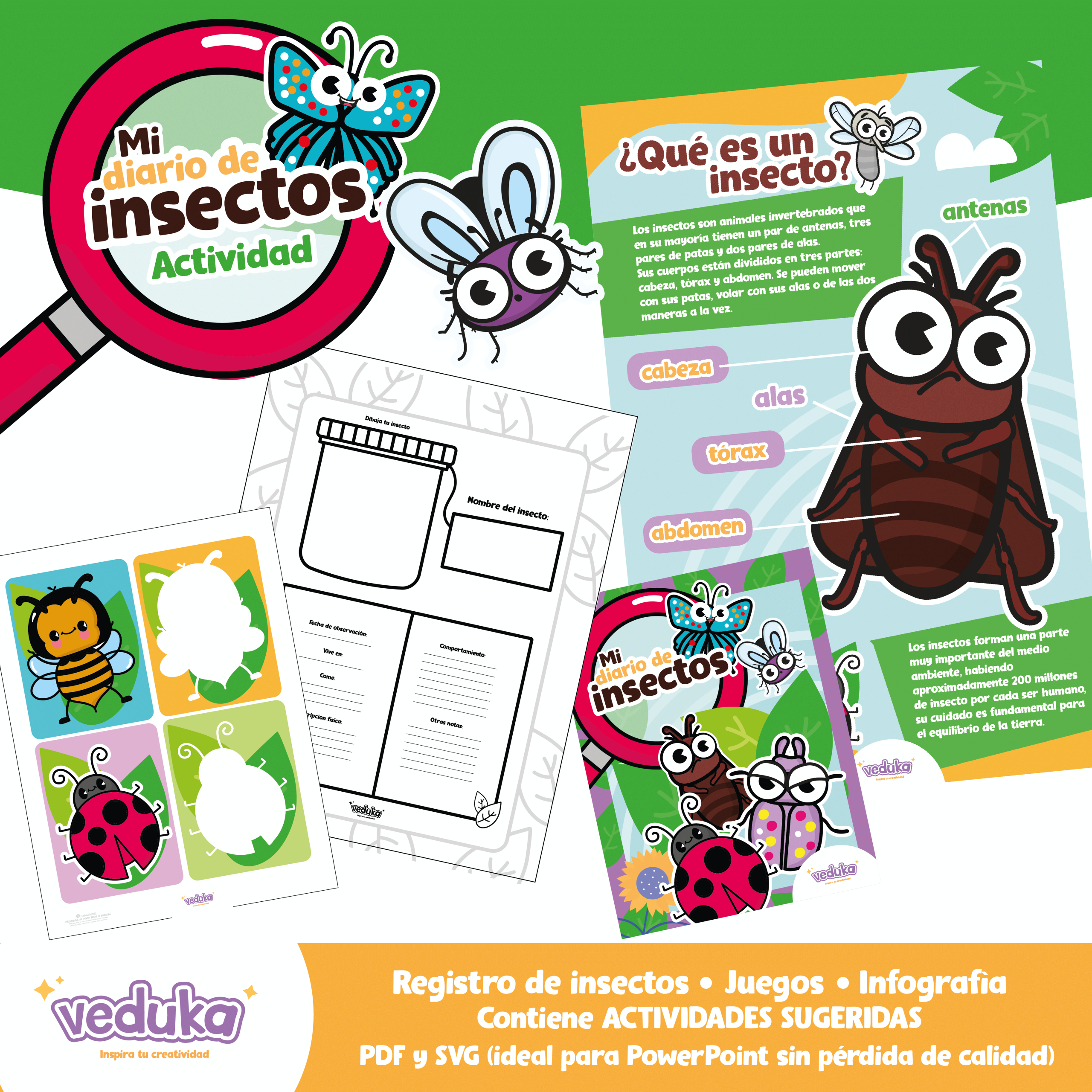Mi diario de insectos