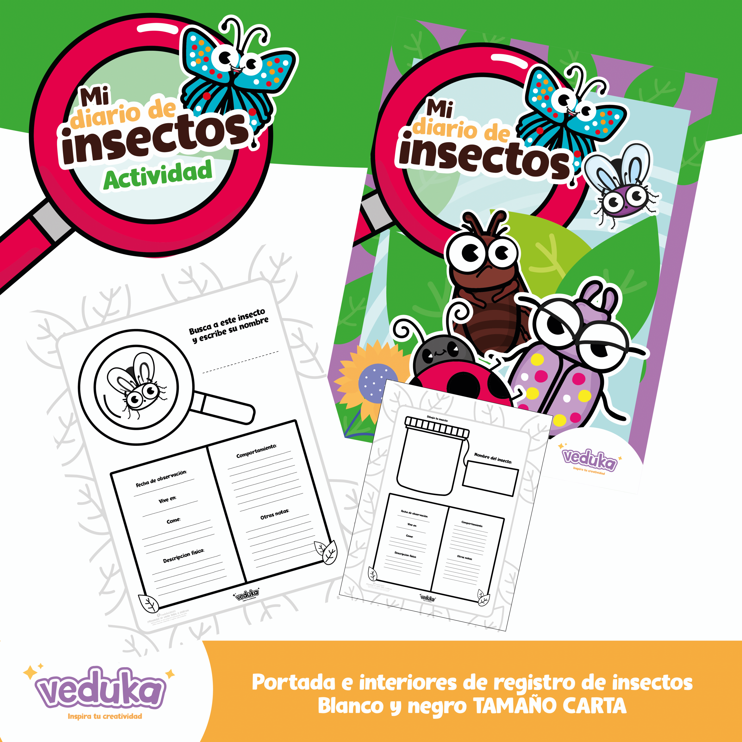 Mi diario de insectos - Image 2